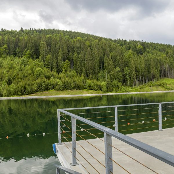 Front view of beautiful large lake and incredible green trees in forest. Concept of beautiful